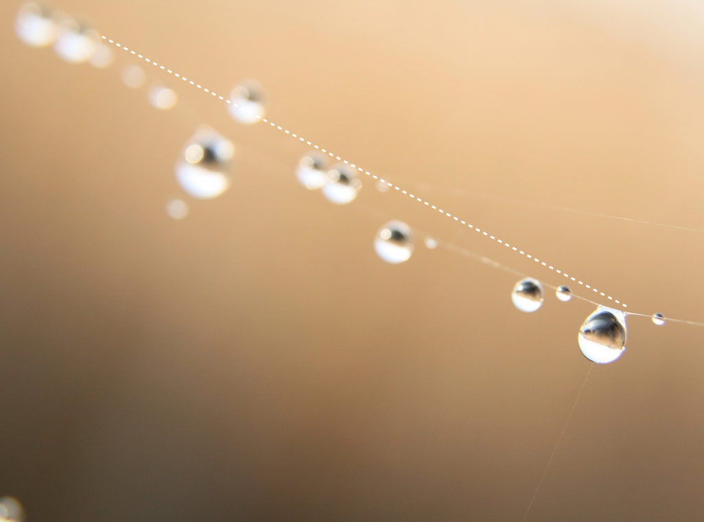 composizione-fotografica-gocce-dacqua-su-filo-di-tela